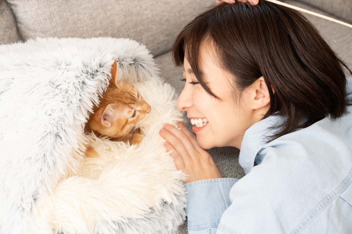 愛猫と戯れている大人になってから歯列矯正をした整った歯ならびの女性