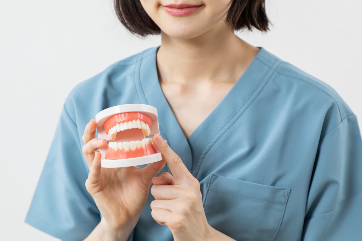 歯の模型を使ってMFT（口腔筋機能療法）について説明する歯科医